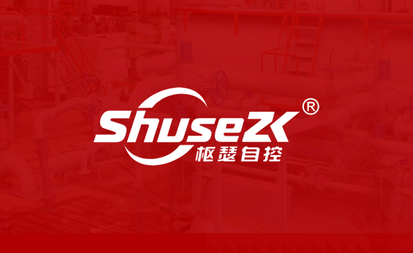 南京枢瑟自控科技有限公司