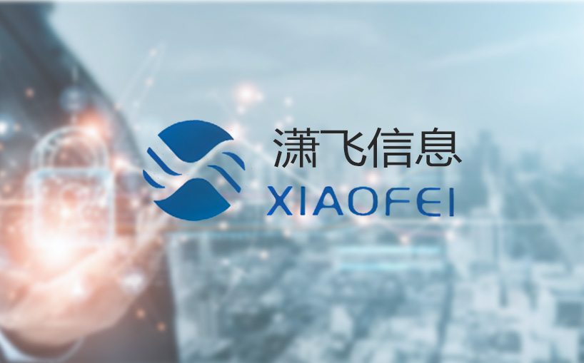 合肥潇飞信息科技有限公司